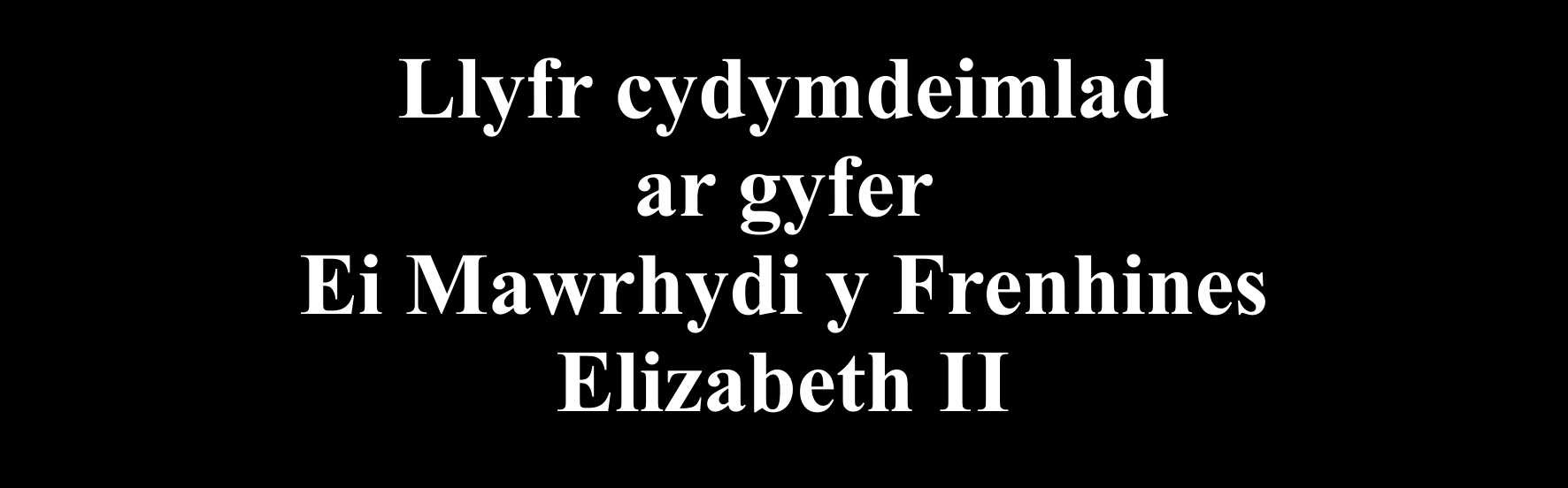 Llyfr Cydymdeimlad